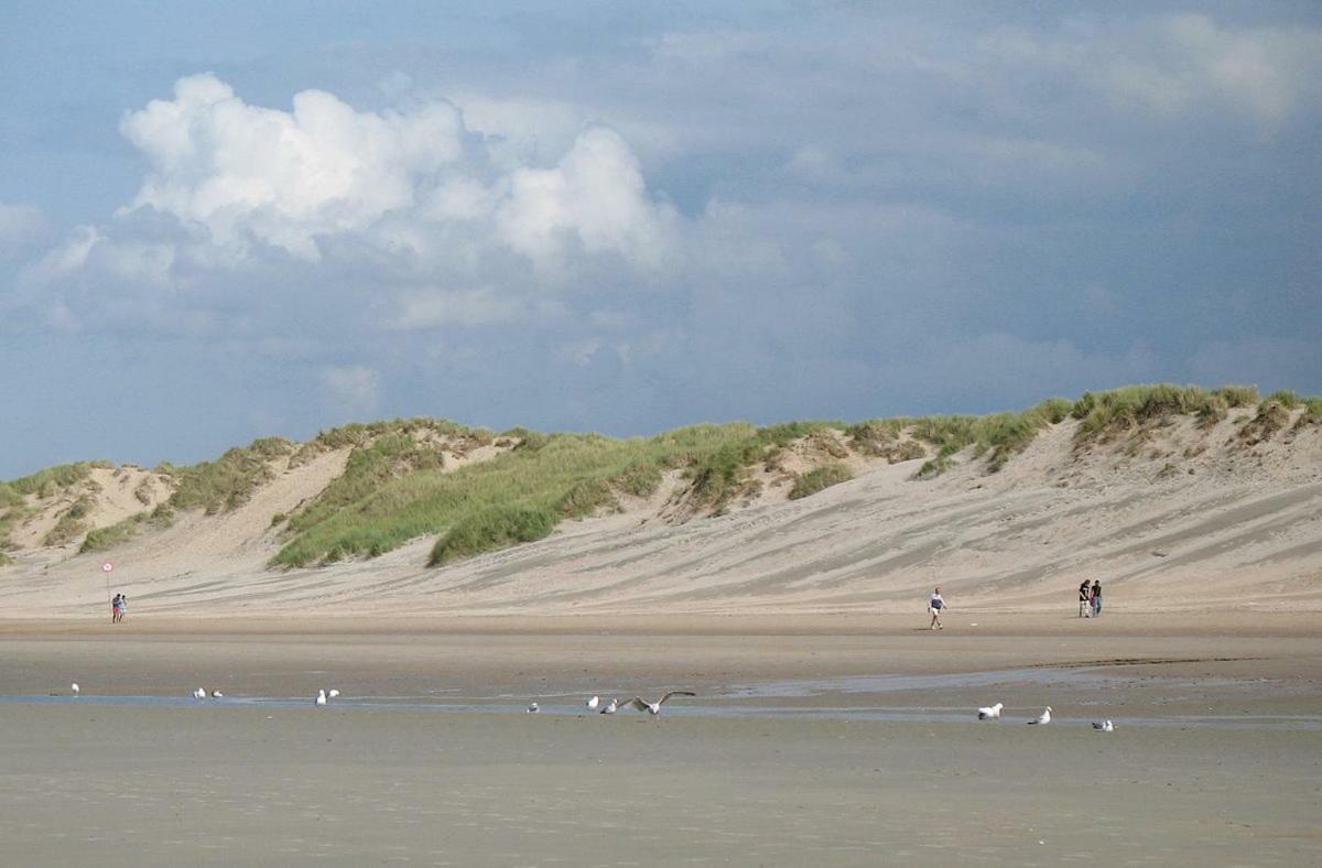 Vakantieverblijf Aan De Dijk Hotel Hippolytushoef Eksteriør billede